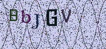 Visual Confirmation Security Code