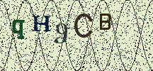 Visual Confirmation Security Code