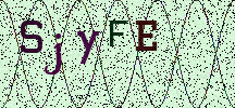 Visual Confirmation Security Code